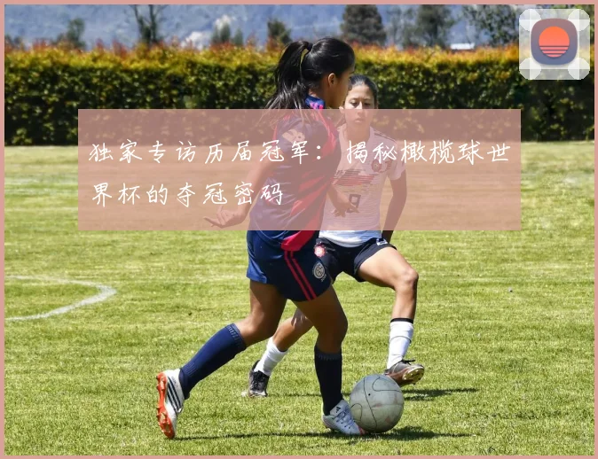 独家专访历届冠军：揭秘橄榄球世界杯的夺冠密码