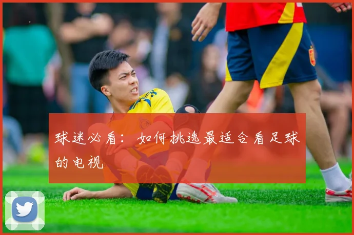 球迷必看：如何挑选最适合看足球的电视