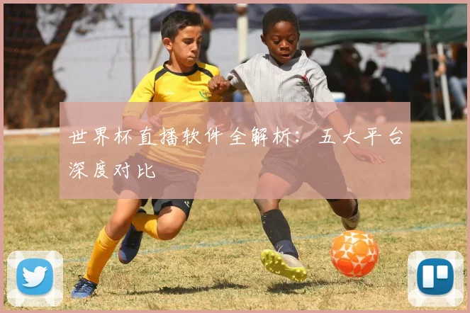 世界杯直播软件全解析：五大平台深度对比