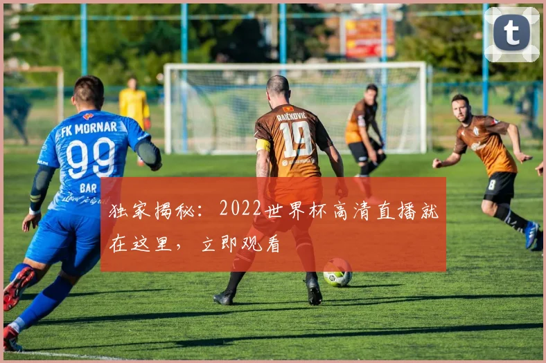 独家揭秘：2022世界杯高清直播就在这里，立即观看