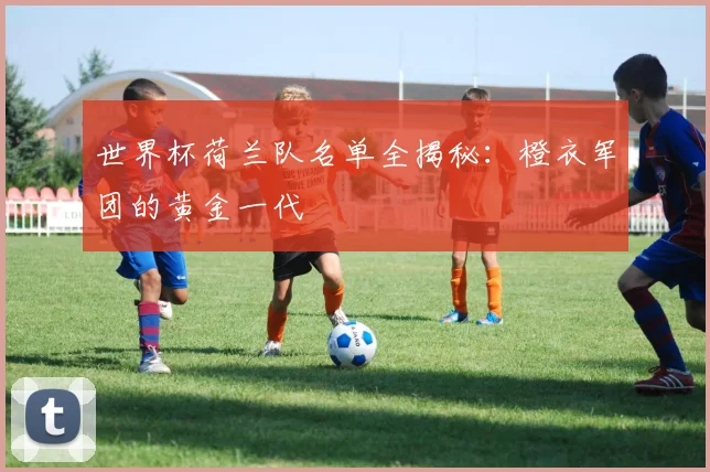 世界杯荷兰队名单全揭秘：橙衣军团的黄金一代